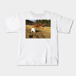 Scottish Highland Cattle Cows and cat 2359 Kids T-Shirt